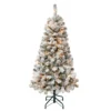 National Tree Company First Traditions Pre-Lit Acacia Flocked Tree Christmas Tree, Clear Incandescent Lights, Plug In, 4.5 Ft