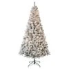 National Tree Company First Traditions Pre-Lit Acacia Flocked Tree Christmas Tree, Clear Incandescent Lights, Plug In, 7.5 Ft