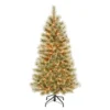 National Tree Company First Traditions Pre-Lit Arcadia Pine Cashmere Christmas Tree, Clear Incandescent Lights, Plug In, 4.5 Ft
