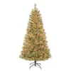 National Tree Company First Traditions Pre-Lit Arcadia Pine Cashmere Christmas Tree, Clear Incandescent Lights, Plug In, 6 Ft