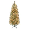 National Tree Company First Traditions Pre-Lit Arcadia Pine Cashmere Slim Christmas Tree, Clear Incandescent Lights, Plug In, 4.5 Ft