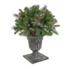 National Tree Company 24" Crestwood® Spruce Porch Bush With Twinkly™ LED Lights