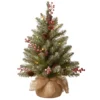 National Tree Company Pre-Lit Artificial Mini Christmas Tree, Green, Dunhill Fir, White Lights, Decorated With Pine Cones, Berry Clusters, Frosted Branches, Includes Cloth Bag Base, 2 Feet