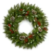 National Tree Company 24in. Frosted Berry Wreath
