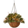 National Tree Company Pre-Lit Artificial Christmas Hanging Basket, Mountain Spruce, Decorated With Frosted Pine Cones, Berry Clusters, White Lights, Christmas Collection, 20 Inches