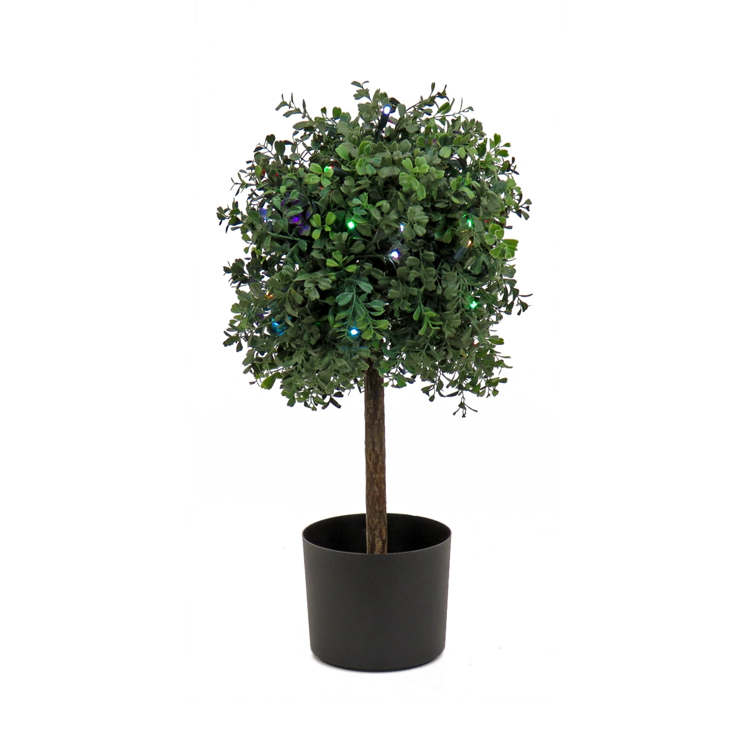 National Tree Company 2 Ft. Boxwood Single Ball Topiary With Multi-Function LED Lights