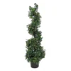 National Tree Company 4 Ft. Boxwood Spiral Topiary With Multi-Function LED Lights