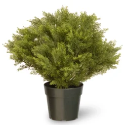 National Tree Company 26" Cypress Tree