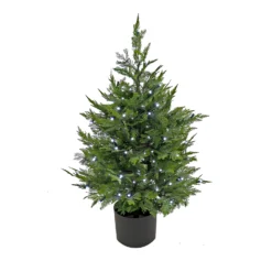 National Tree Company 3 Ft. Cypress Tree With Multi-Function LED Lights