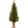 National Tree Company Pre-Lit Artificial Christmas Entrance Tree, Montclair Spruce With Clear Lights, Plug In, 4 Ft