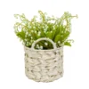 National Tree Company 11" Green Lily-of-the-Valley Flowers In White Basket