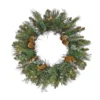 National Tree Company First Traditions™ Collection, 24" Pre-Lit Artificial North Conway Wreath With Glittery Cones And Eucalyptus, 50 Clear Lights- UL