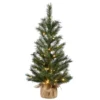 National Tree Company Pre-Lit Artificial Christmas Tree, Green, Frosted Ontario Pine, White LED Lights, Includes Cloth Bag Base, Battery Operated, 3 Feet