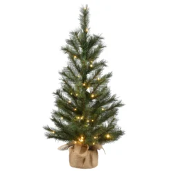 National Tree Company Pre-Lit Artificial Christmas Tree, Green, Frosted Ontario Pine, White LED Lights, Includes Cloth Bag Base, Battery Operated, 3 Feet