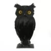 National Tree Company Halloween Tabletop Decoration, Black, Lifelike Owl, 11 Inches