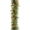 National Tree Company Pre-Lit 'Feel Real' Artificial Christmas Garland, Green, Colonial Fir, Dual Color LED Lights, Decorated With Pine Cones, Plug In, Christmas Collection, 9 Feet