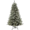 National Tree Company 6.5 Ft Holliston Tree With Dual Color® LED Cosmic Lights®
