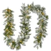 National Tree Company Pre-Lit Artificial Christmas Garland, Green, Snowy Green, White Lights, Decorated With Pine Cones, Frosted Branches, Battery Operated, Christmas Collection, 9 Feet