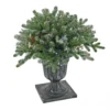 National Tree Company 24" Snowy Morgan Spruce Porch Bush With Twinkly™ LED Lights