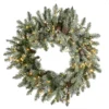National Tree Company Pre-Lit Artificial Christmas Wreath, Green, Snowy Morgan Spruce, Dual Color LED Lights, Decorated With Pine Cones, Christmas Collection, 24 Inches