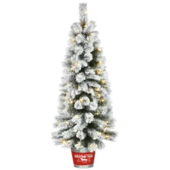 National Tree Company Pre-Lit Artificial Christmas Entrance Tree, Snowy Pogue Pine, With Warm White LED Lights, Plug In, 5 Ft