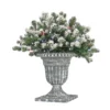 National Tree Company 24" Snowy Sheffield Spruce Porch Bush With Twinkly™ LED Lights