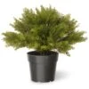 National Tree Company 15" Globe Cedar Tree