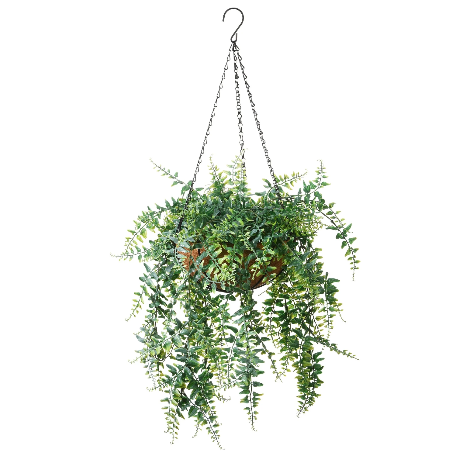 National Tree Company 21" Fern Leaves Hanging Basket
