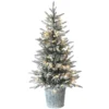 National Tree Company Pre-Lit Artificial Christmas Entrance Tree, Snowy Alpine Fir, With Warm White LED Lights, Plug In, 4.5 Ft