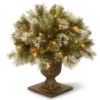 National Tree Company 24" Wintry Pine(R) Porch Bush With Clear Lights